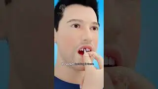 What to Do Immediately If Your Tooth Falls Out 