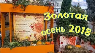 Московские сезоны| Золотая осень 2018| Autumn| Moscow 2018