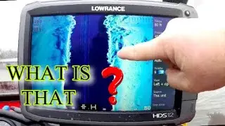 How To SIDE IMAGING (what are we looking at and how to know)