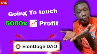 Elon Doge DAO 🔥 After Shiba inu & Squid game biggest Pump ⤴️