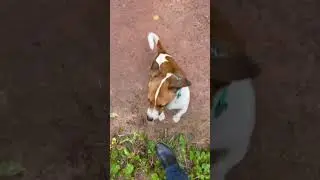 Пятюня по быстрому