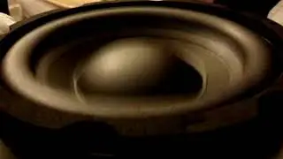 BASS TEST 2021/2022!🔥