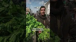 What do Gazans eat?