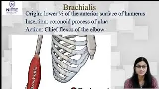 Lecture video on front of arm