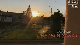 Тихий влог, красивый закат и много цветов.