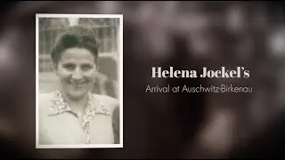 Deportations of Hungarian Jewry