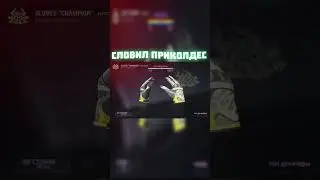 открыл кейс в стандофф 2 