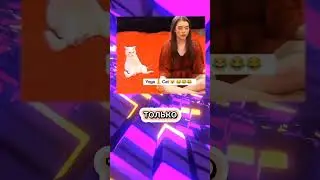 Спидран по Шортам 145 #мем #спидранпошортам
