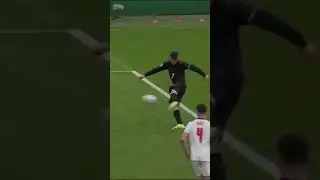 The art of goalkeeping #trend #trending #fypシ #fypシ゚viral #football #goalkeeper #meme #edit