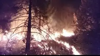 Day in the Life of a Wildland Firefighter  (Engine Crew)