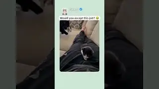 Would you accept this job? 😂