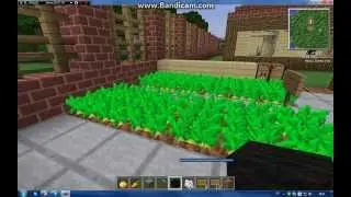 MainCraft-постройка красивого дома и огорода