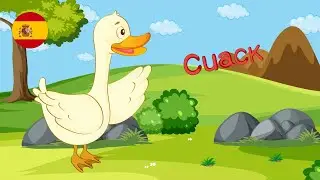 Luli pampín - CINCO PATITOS 🇪🇸🐥