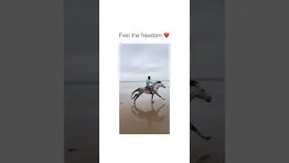feel the freedom 🐎#horse