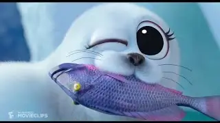 Angry birds fish stealing seal
