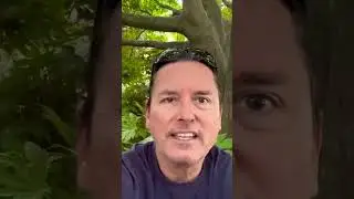 The narcissist is a bully