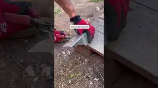 Tips