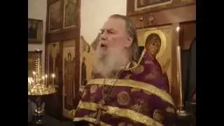 о. Павел Адельгейм: Проповедь на Вербное воскресенье 17 апреля 2011 г.