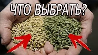 ЧЕМ КОРМИТЬ КРОЛИКОВ? МОЯ ЭВОЛЮЦИЯ В КОРМЛЕНИИ!