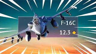 THE F-16C EXPERIENCE