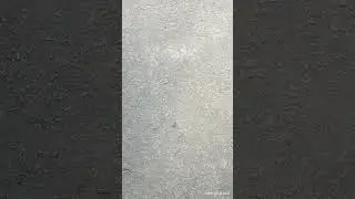 Whats this sound