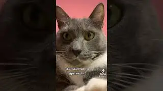 Пора вставаньки:)