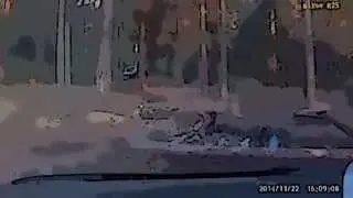 Мультик Пойди туда,не знаю куда.Лесная сказка.