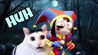 Pomni but it's a CAT HUH