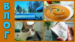 ✔️Суп для похудения✔️ Сняла распаковку✔️ Мои ассистенты