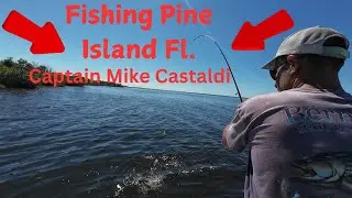 Fishing Pine Island Fl With Captain Mike Castaldi
