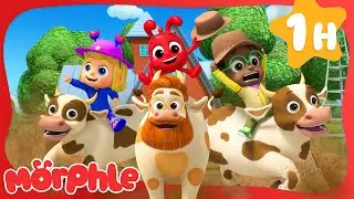 Crazy Cow Rampage! 🐄 | Cartoons for Kids | Fun Animal Videos | Morphle