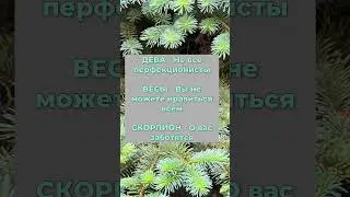 #знакизодиака #близнецы #стрелец #лев #овен #водолей #дева #козерог