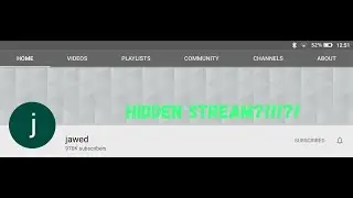 Jawed has a hidden video.