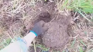 Копаем  металл...и  не   плохо.