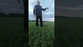 4 мая 2024 г.