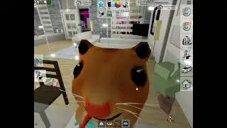 С днем рождения, мой канал! Roblox Brookhaven