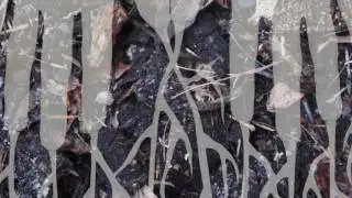 Soil