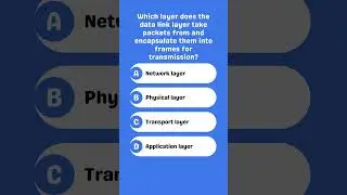 Which layer does the data link layer encapsulate packets from?