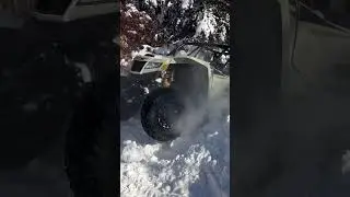 Cat vs apocalypse of snow