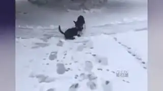 Прикольно