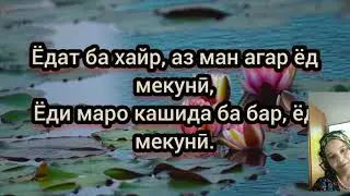 Шаб ба хайр азизон 🌹🍀