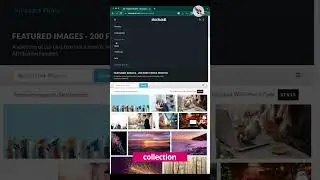 Stockvault.net - free resource for categorised photos - Part 06 #shorts