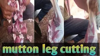 mutton fresh leg pieces cutting | amazing goat meat cutting processing