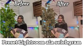 Preset Lightroom ala selebgram keren