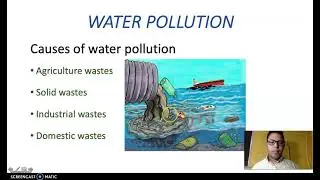 Types of Pollution