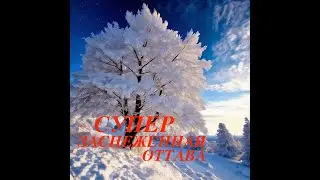 Прекрасный Зимний Вечер в Оттаве/ Столица Канады