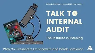 Talk to Internal Audit | Episode 24: Risk in Focus 2021 summarised