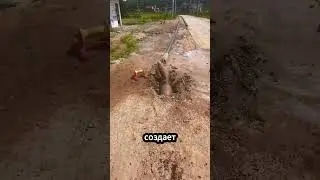 Бурение без раскопок 🤯