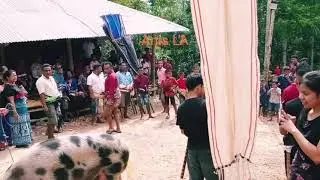 Pesta Adat Loli || Syair Kedde Dalam Bahasa Loli