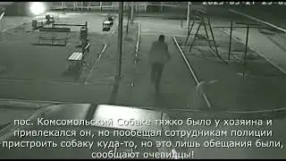 Как живодёр издевается над собакой в Гулькевичском районе, Краснодарский край 21 марта 2023